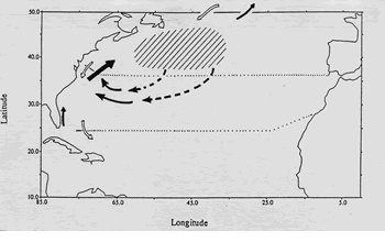 Schematic of surface northwards nitrate flux (black full arrow) with deeper southwards return flux (Rintoul & Wunsch, 1991)