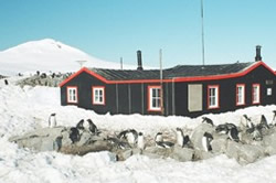 Port Lockroy, Antarctica. BODC staff finally go on field work.