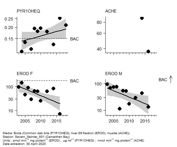 Biological effects assessment of  ethoxyresorufin-o-deethylase in biota at Camarthen Bay