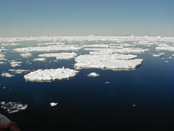 Pack ice near Adelaide Island, Antarctica