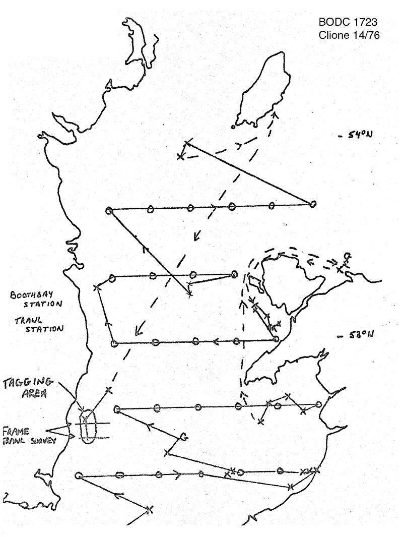 RV Clione CLI14/76