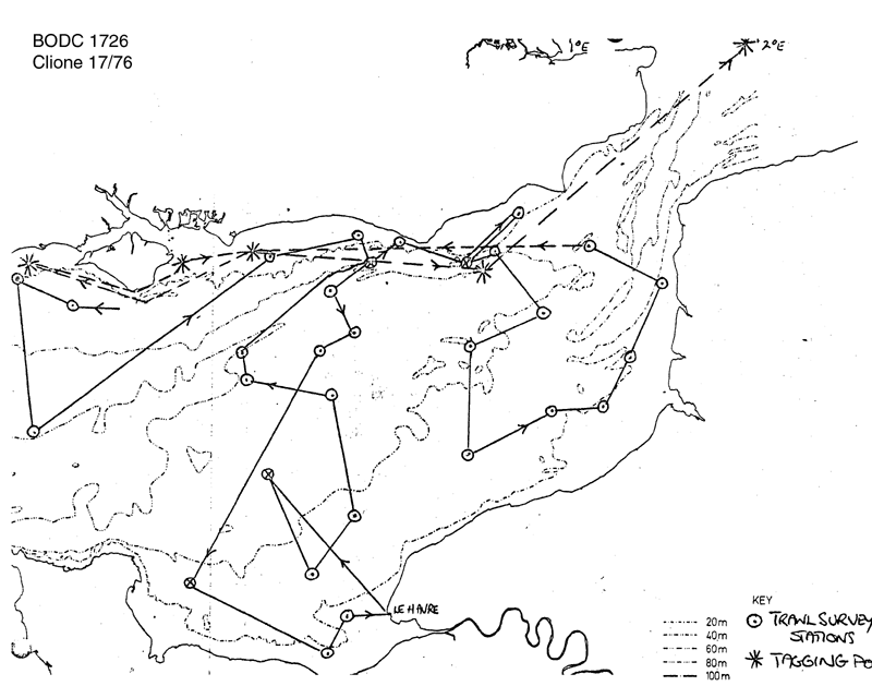 RV Clione CLI17/76