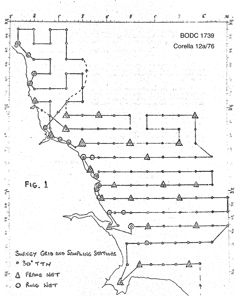 RV Corella 12A/76