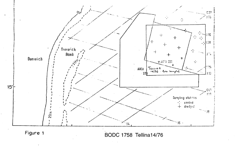 RV Tellina 14/76