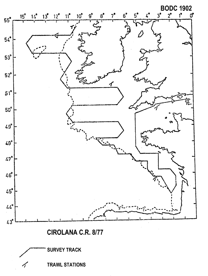 RV Cirolana CIR8/77