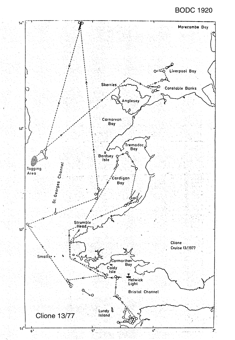 RV Clione CLI13/77