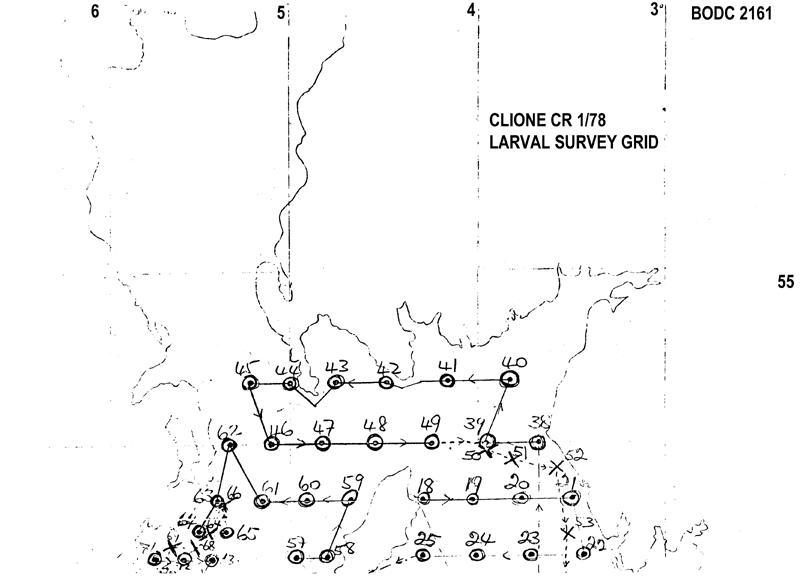 RV Clione CLI1/78