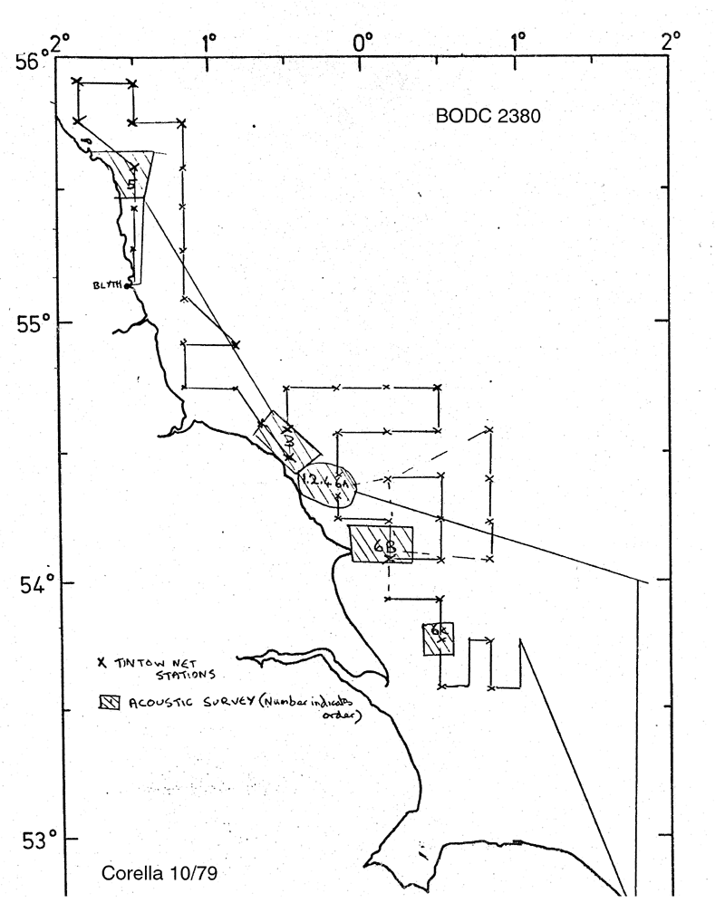 RV Corella 10/79