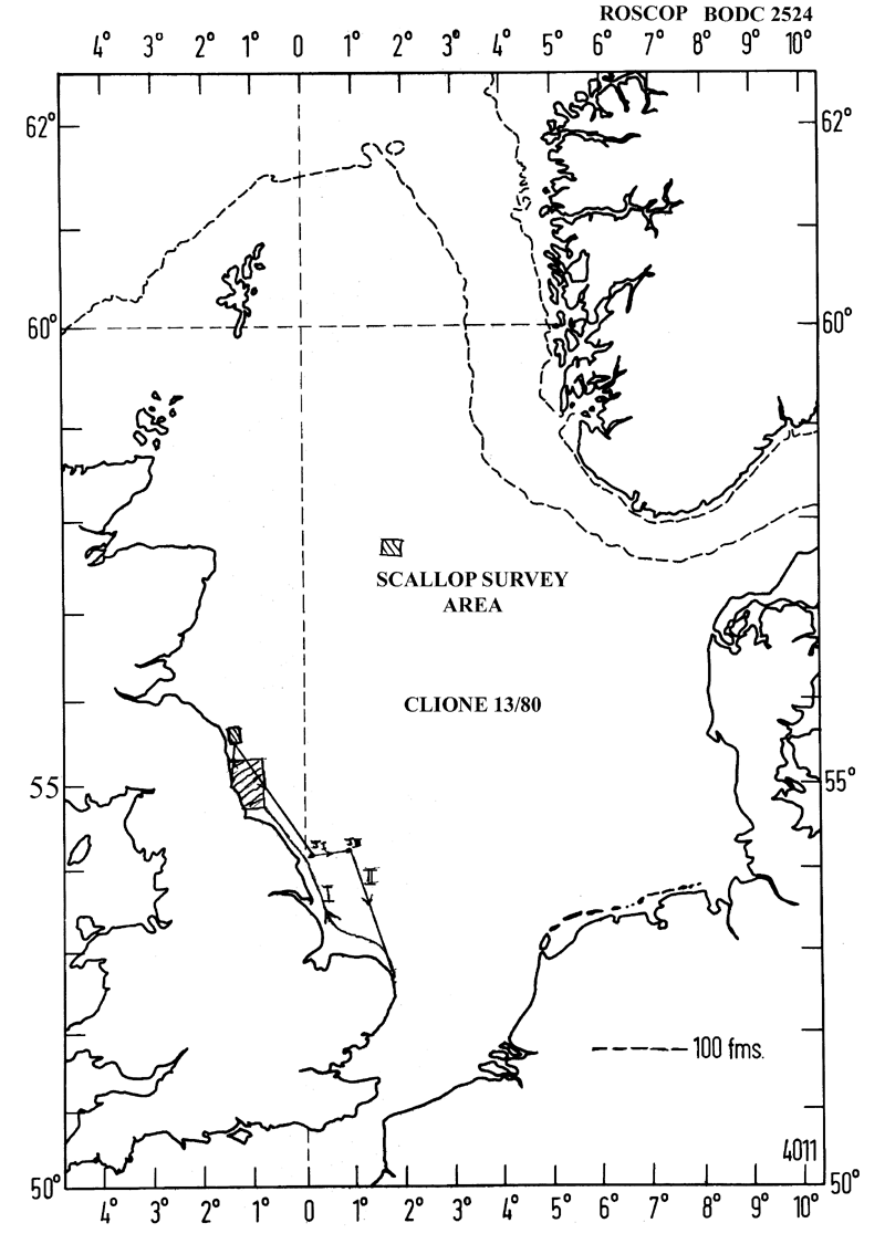 RV Clione CLI13/80