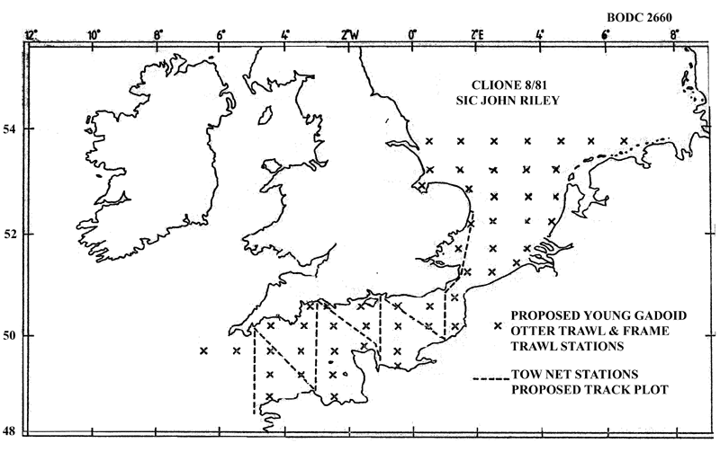 RV Clione CLI8/81