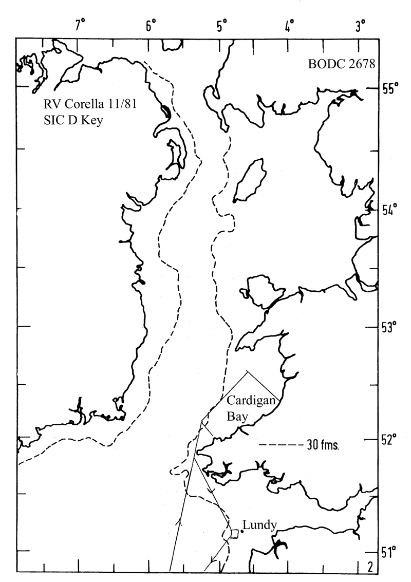 RV Corella 11/81