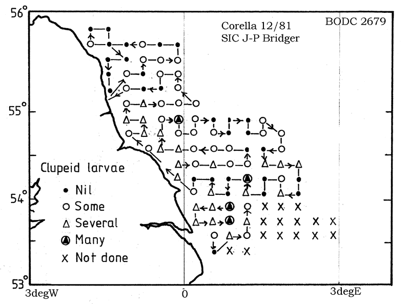 RV Corella 12/81