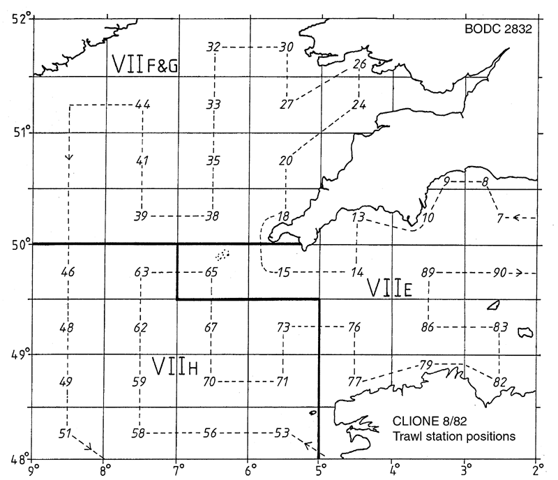 RV Clione CLI8/82