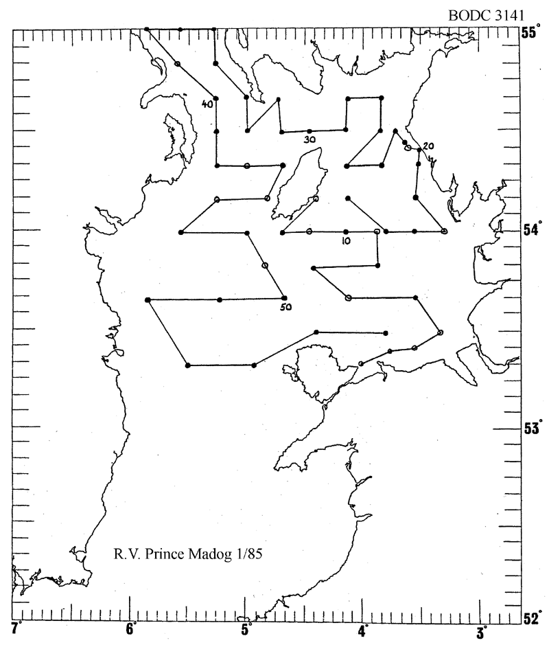 Prince Madog 1/85