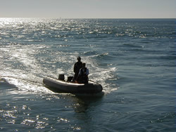 Looking for marine data and information Looking for marine data and information