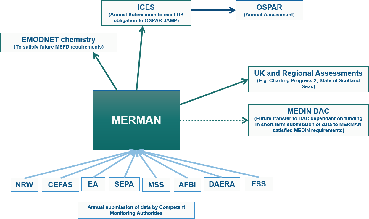 Flow diagram showing the flow of MERMAN's data